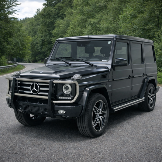 G-Class W463 (Classic Body) 1990-2018 - Ladders