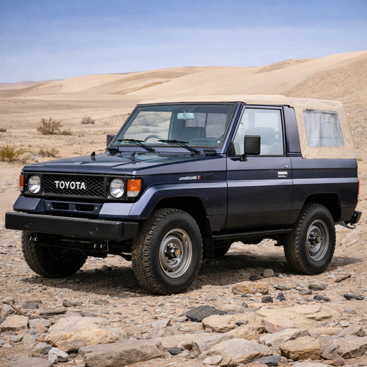 Land Cruiser 70 Series 1984-Present - Ladders